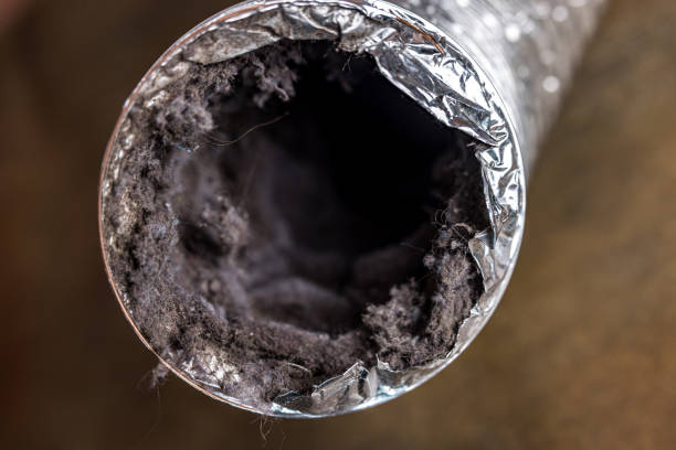 Best HVAC Duct Inspection Services  in Pensacola Station, FL