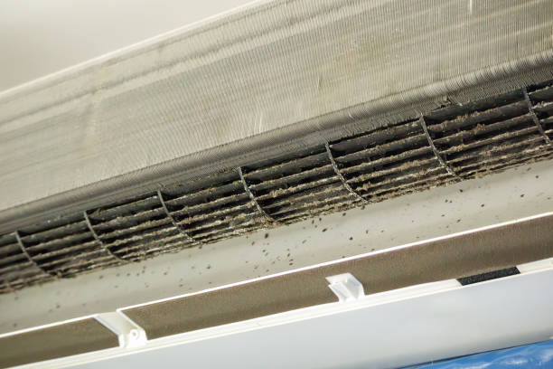 Best Air Duct Mold Removal  in Pensacola Station, FL